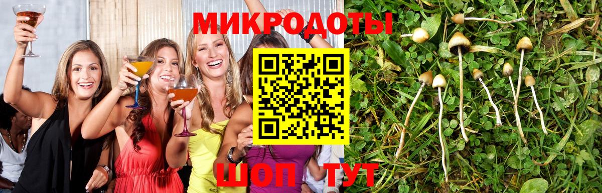 Галлюциногенные грибы Cubensis Новосибирск