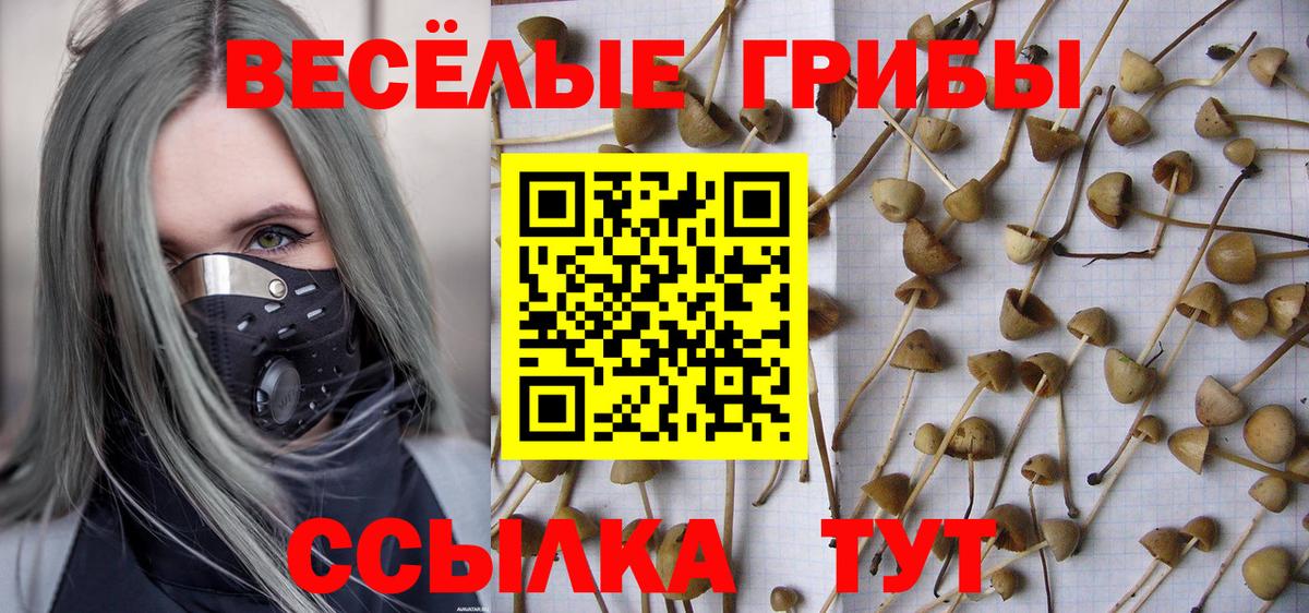 Новосибирск  Галлюциногенные грибы ЛСД  Вход с VPN 